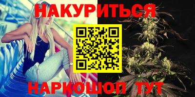 эйфоретик Кингисепп