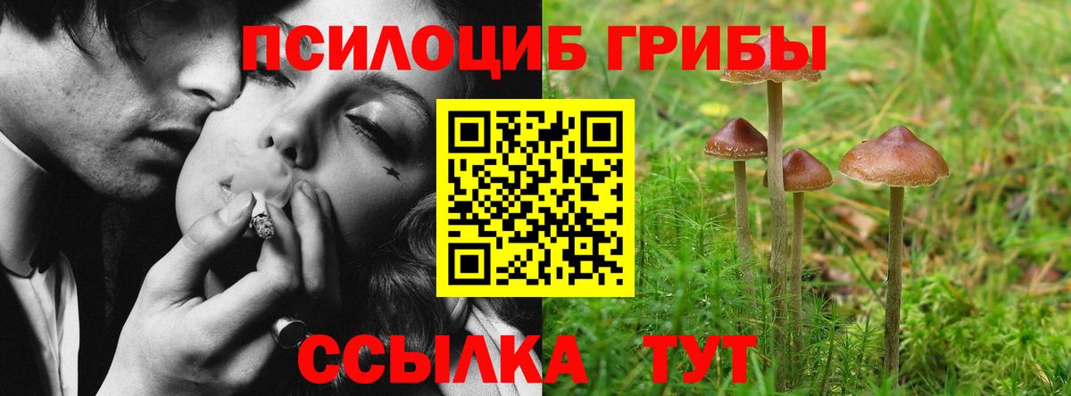 Галлюциногенные грибы мухоморы Лениногорск