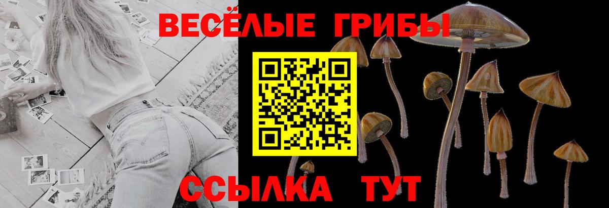 Лениногорск  Галлюциногенные грибы MAGIC MUSHROOMS  Вход с VPN 